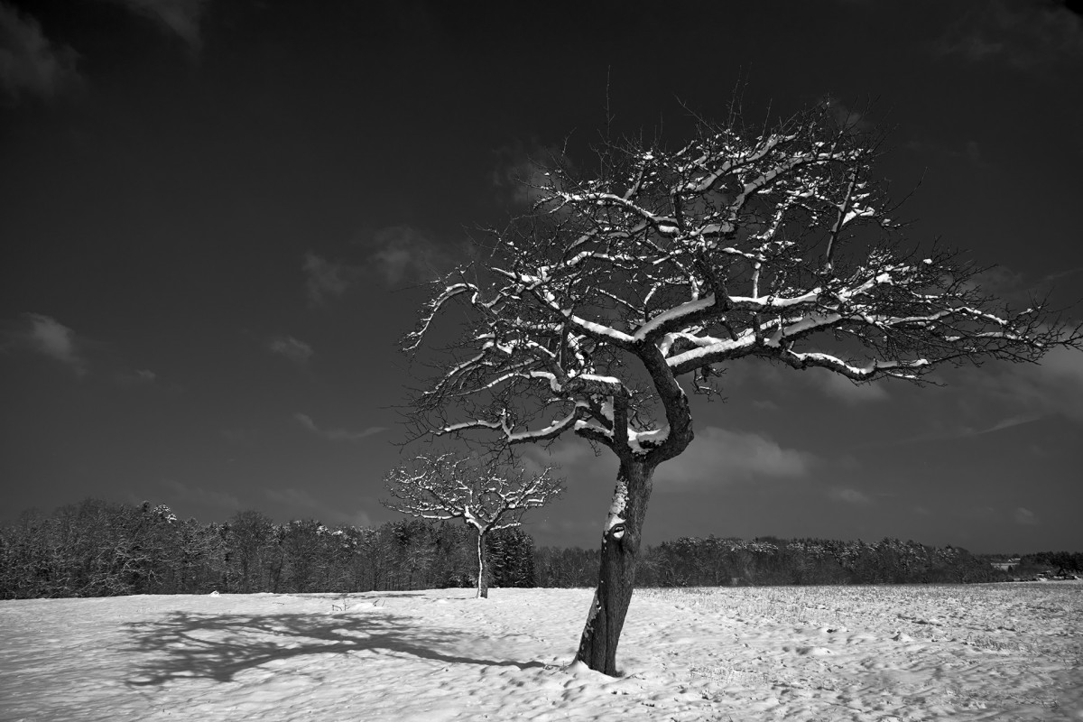 Jürgen Flohr - Fotografie