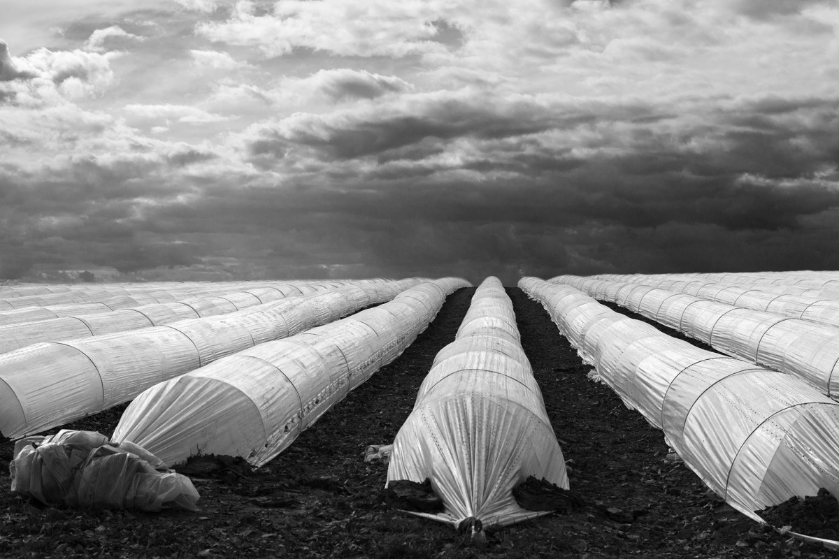 Jürgen Flohr - Fotografie